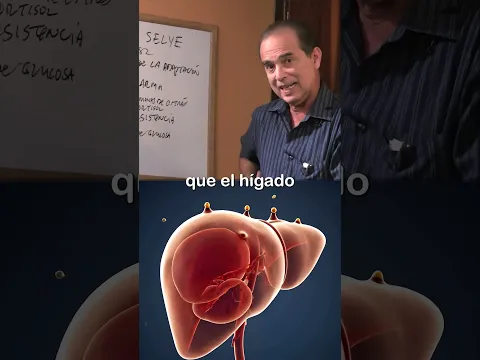 Cómo El Estrés Te Destruye