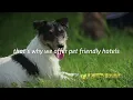 Pet Friendly Hotels
