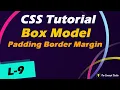Box Model Padding Border Margin CSS Tutorial L-9