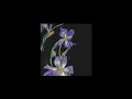 Download Lagu d4vd - this is how it feels with laufey (slowed + reverb)
