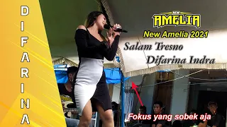 Download Salam Tresno Difarina Indra || New Amelia Terbaru 2021 MP3