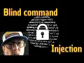 How do i test for blind command injection