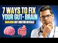 Download Lagu Gut Microbiome, Fermented Foods \u0026 the Power of Your Second Brain | Dr. Sethi 
