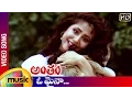 Download Lagu Antham Telugu Movie Songs | O Maina Video Song | Nagarjuna | Urmila Matondkar | RGV | Mango Music