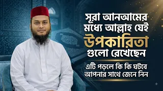 সূরা আনআমের ফজিলত গুরুত্ব তাৎপর্য | sura anam fojilot gurutto tatporjo #zubayerbinemam #islamic #hd 