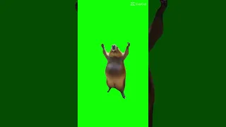 تشكين وين      مميز  لايك  اكسبلور  ميمز عراقية  تصميم فيديوهات دندنها