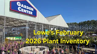 Lowe s Garden Center February 2026 New Plant Inventory Shrubs And Perennials Are Rolling In GA