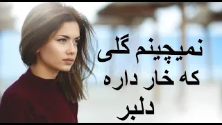 آهنگ زیبای ایرانی نمیچینم گلی که خار داره دلبر Irani Nice Song  آهنگ زیبای ایرانی نمیچینم گلی که خار داره دلبر Irani Nice Song