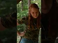 Download Lagu Making The Perfect Apple Brandy | Moonshiners | Discovery Channel