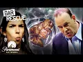 Bar Rescue s WORST Liars