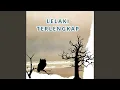 Download Lagu LELAKI TERLENGKAP