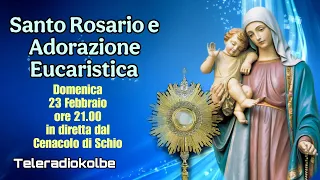 Adorazione Eucaristica e S.Rosario in Diretta dal Cenacolo ore 21.00 [23/02/2025]