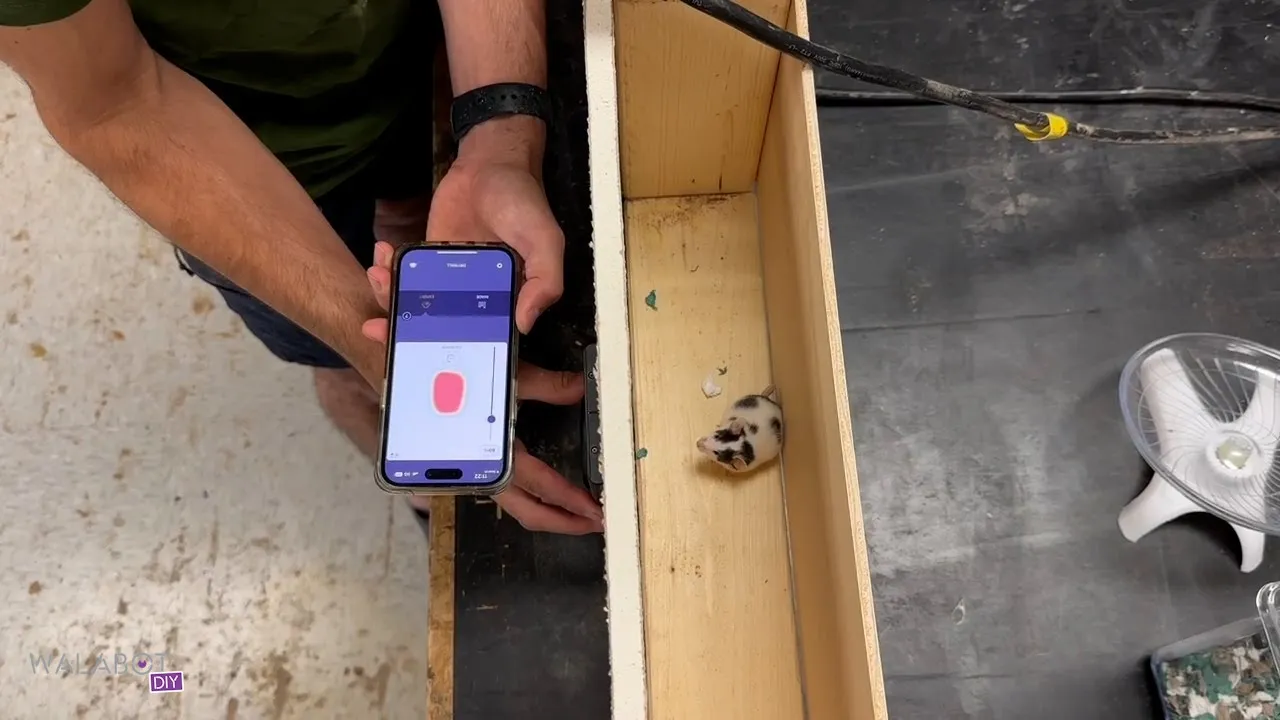 Walabot DIY — Walabot DIY 2 - Detecting Objects Behind Walls (YouTube video ad)