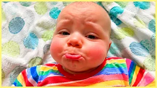 You Think You Can Stay Serious? Watch These Babies First! 🤣