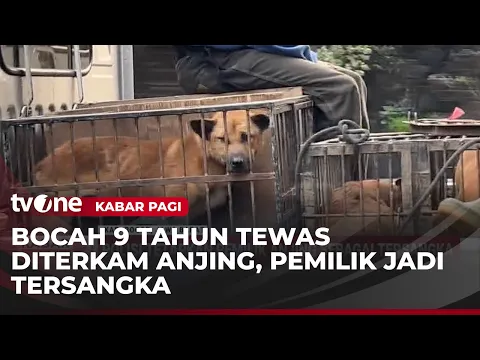 Bocah di Kab. Bogor Tewas Diterkam Anjing Pemburu