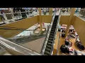 KONE Escalators at Dillard s - Coastal Grand Mall in Myrtle Beach SC