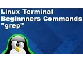 Linux Terminal for Beginners Commands 15 Search and Filter with grep