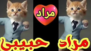  اغنية باسم مراد حبيبي مراد مراد السعودية الكويت تركيا العراق قطر مسقط لبحرين الجزائر دبي جده الرياض دندنها