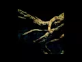 Lost Script - A Subtle Invasion