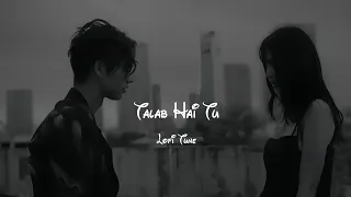 Download Talab Hai Tu ( Slowed + Reverb ) Sed Lofi Song  #lofimusic #sed #slowedreverb MP3