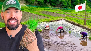 I Farmed Rice In Japan