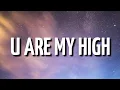 Download Lagu DJ Snake \u0026 Future - U Are My High (Lyrics)