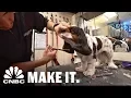 Pamper Your Pooch At Canine Styles The NYC Luxury Boutique For Dogs CNBC Make It