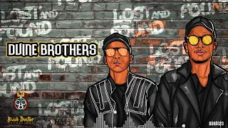 dvine brothers u0026 leskosol shameless original mix 