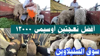 الحاج عيد من منية النصر وشارى غنم أوسيمى روعه                     دندنها