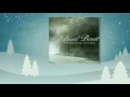 David Benoit - Skating