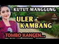 Download Lagu GENDING KLASIK LAWAS KUTUT MANGGUNG ULER KAMBANG - GENDING JAWA PALING NYAMLENG