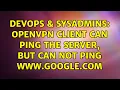 DevOps SysAdmins Openvpn client can ping the server but can not ping www google com