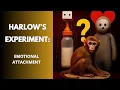 Harlow s Experiment This Is How Emotional Attachment Is Formed