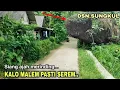 Download Lagu Tak Disangka Kampung yang begitu indah Dan sesejuk ini terdapat Batu keramat besar || serem kang..!!