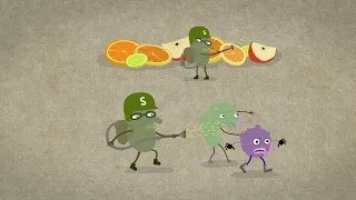  กรดเบนโซอิก กรดซอร์บิก และกรดโพรพิโอนิก มีบทบาทอย่างไรในอาหาร 