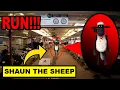 Download Lagu IF YOU SEE CURSED SHAUN THE SHEEP OUTSIDE OF YOUR HOUSE, RUN AWAY FAST!! |CURSED SHAUN THE SHEEP.EXE