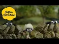 Lagu 🐑Shaun, o Carneiro🐑😂 A Ovelha Mais Engraçada 🐑 Hora Especial🐑| Cartoons Para Crianças