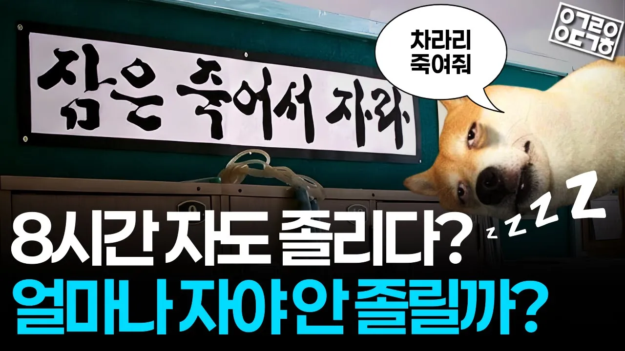 졸리지 않으려면 얼마나 자야 할까? 잠의 숨겨진 과학적 사실! (수면분석 결과 1/2) [카이스트 김재경 교수님, 카이스트 송윤민 박사님]