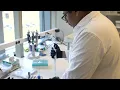 Summer Undergraduate Research Fellowship SURF