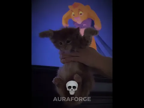 LAST CAT WAS IDENTICAL