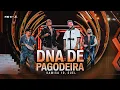 Lagu Kamisa 10 - DNA de Pagodeira part. Suel | DVD Ao Vivo Em Brasília