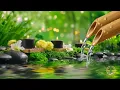 Download Lagu Sleeping Music for Deep Sleeping 😴 Calming Music with Soothing Nature Sounds, Meditation, Spa, Relax