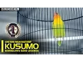 Download Lagu TVRI CUP - Kembalinya Performa Terbaik Sang Legenda Love Bird KUSUMO