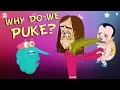 Download Lagu Why Do We Puke? | The Dr. Binocs Show | Best Learning Videos For Kids | Peekaboo Kidz