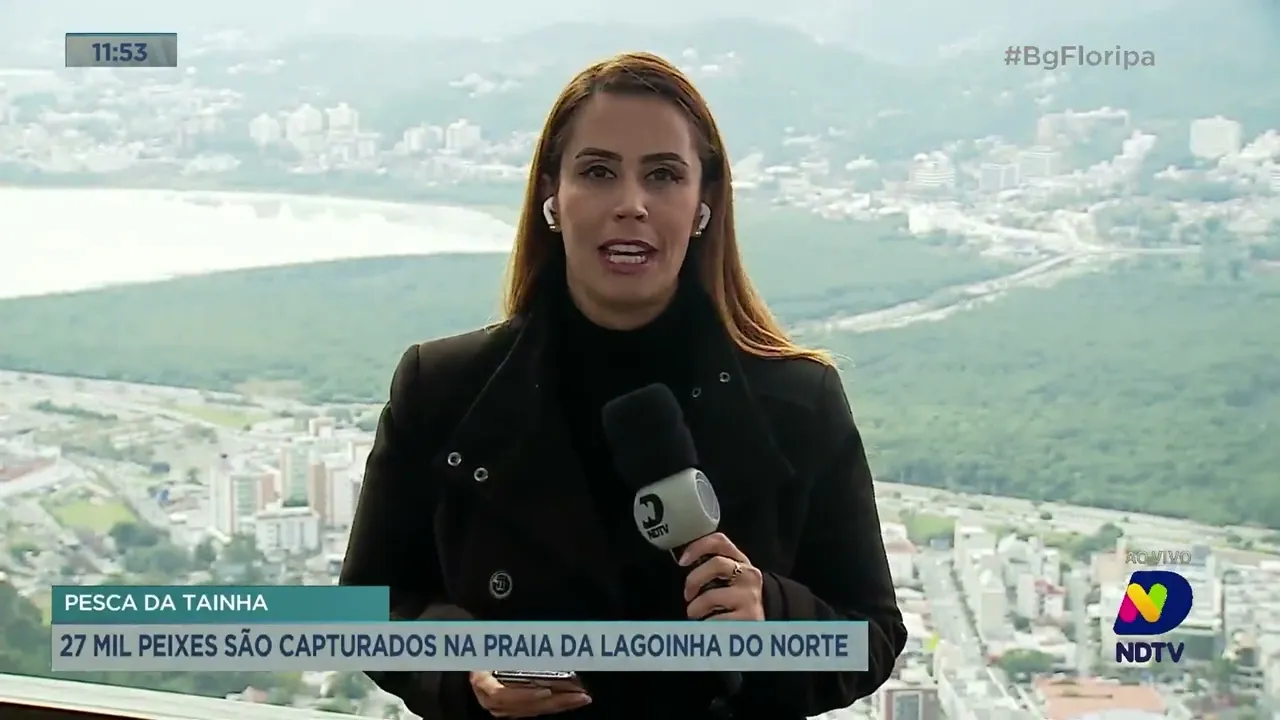 27 mil peixes são capturados na praia da Lagoinha do Norte, em Florianópolis