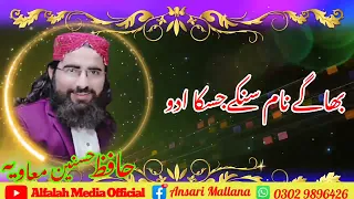 نیو سٹیٹس کلام حافظ حسنین معاویہ 