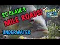 Lake St Clair Mile Roads Underwater Tour Tips