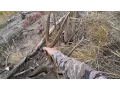 DIY Mule Deer Rugged Hunt with Remi Warren