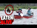 6 Most DISTURBING Animal Attacks in ALASKA History