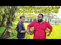 Lagu இப்படி ஒரு காணியா?😲 இந்த விலையில் யாழ்ப்பாணத்தில் Jaffna Land Sale | Tamil Vlogs | Alasteen Vlogs